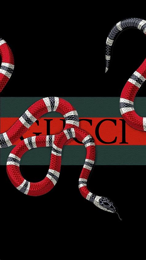 cual es la serpiente de gucci|gucci snakes.